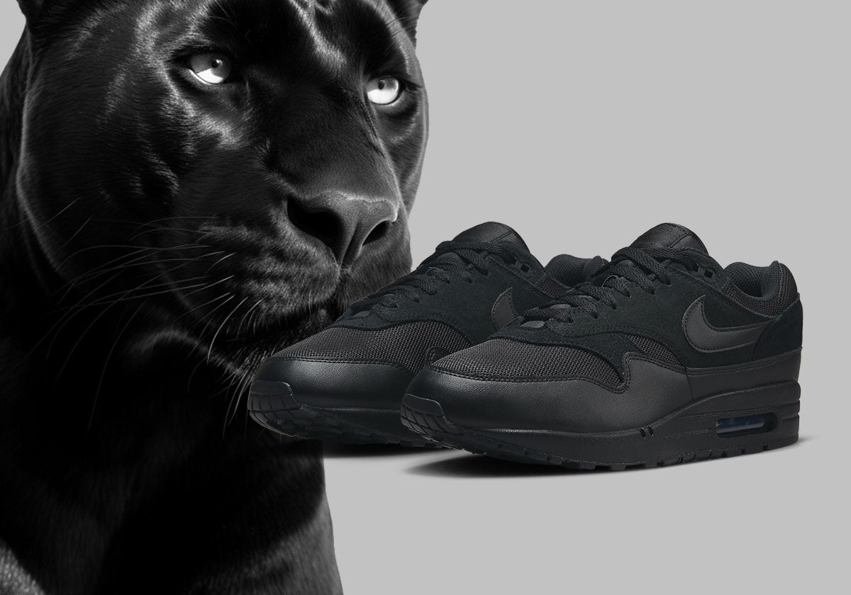 Nike Air Max 1 "Black Cat" FZ5808-006 | SneakerNews.com
